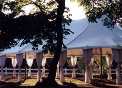 Pacific Party Canopies